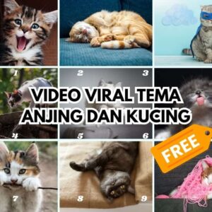 140 Video Viral Anjing Kucing Imut Lucu MP4 Siap Upload Tiktok IG Reels Youtube Shorts